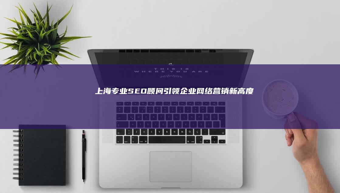 上海专业SEO顾问：引领企业网络营销新高度